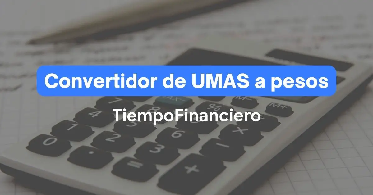 Conversor de UMAS a PESOS online Tiempo Financiero MX